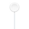Apple Watch Magnetic Fast Charger to USB-C Cable(1M)